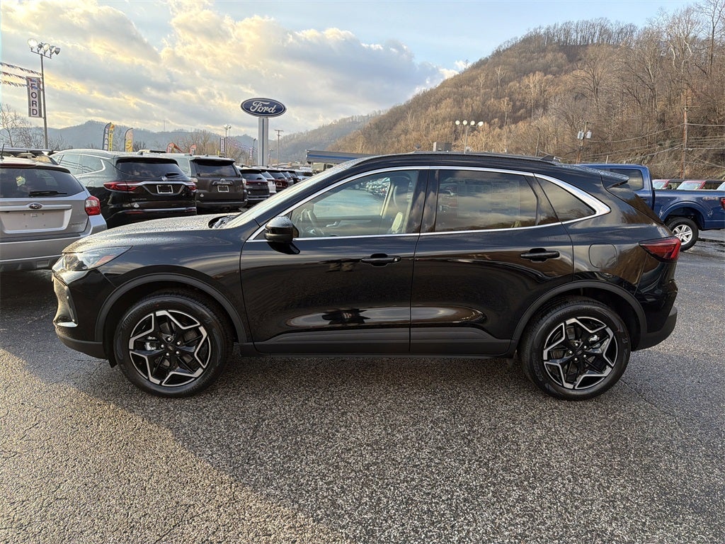 2026 Ford Escape Platinum